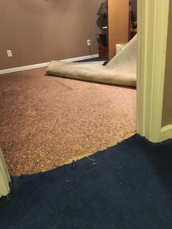 Carpet pad removal revealing water damage during Drying & Dehumidification in Phenix City