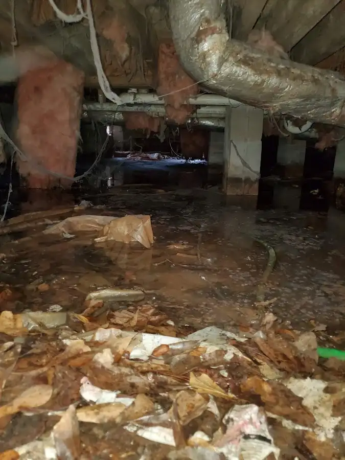 Crawl space flood assessment for Commercial Water Damage Restoration in Phenix City